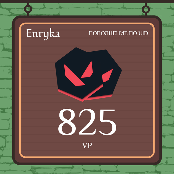 825 VP ключ активации - Enryka
