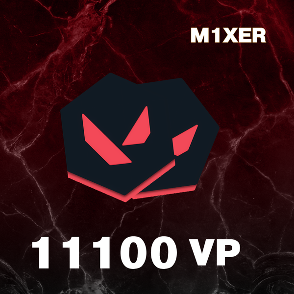 11100 VP ключ активации - M1XER