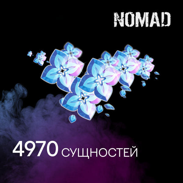 4970 Сущностей пополнение по ID - Nomad Pro